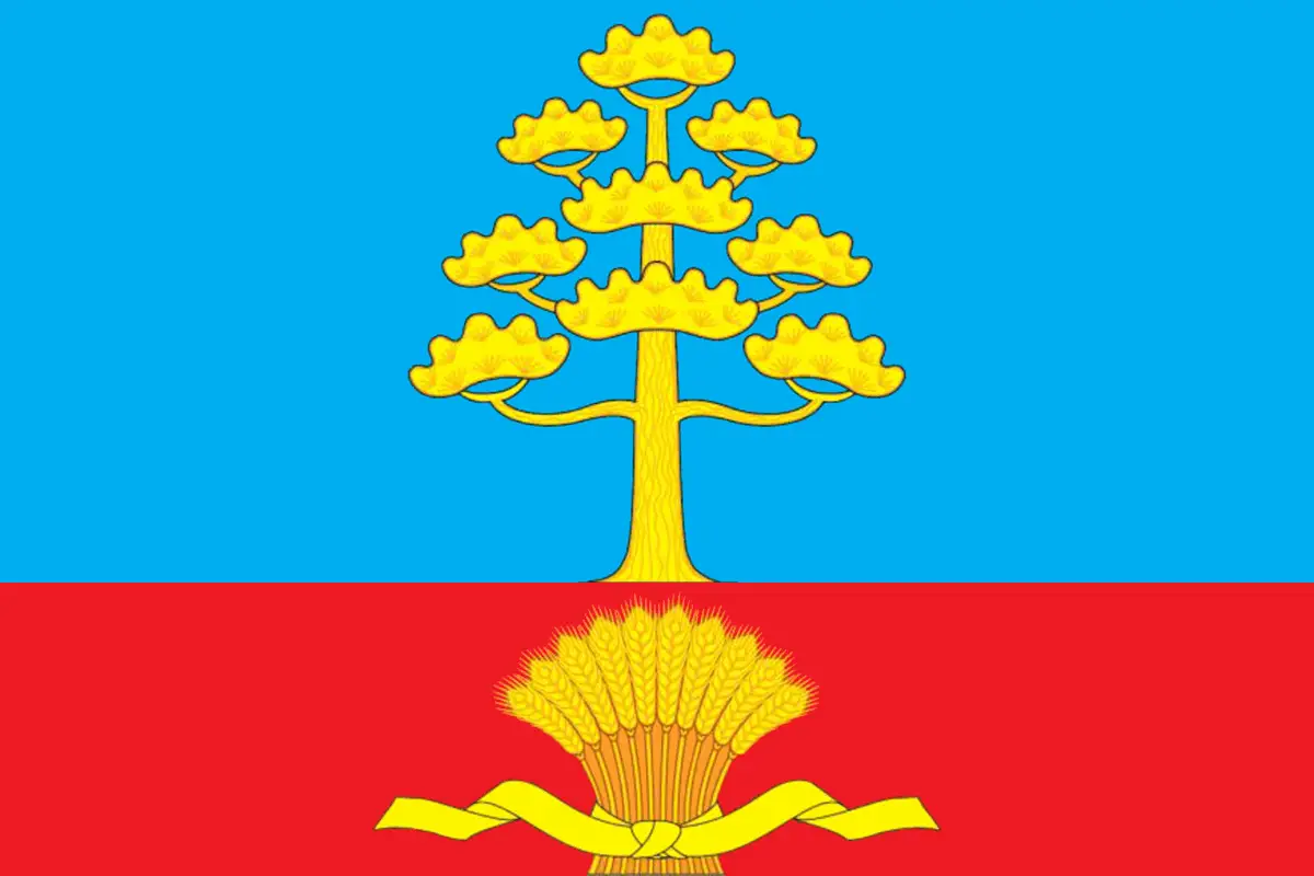 Флаг: Пичаевский район